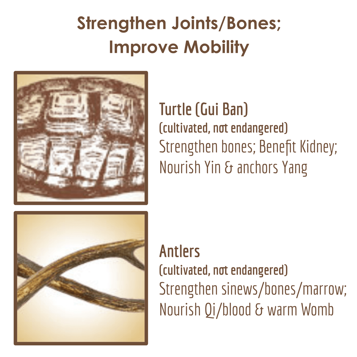 STRENGTHENING Herbal Supplement | Strengthen Joints; Improve Mobility