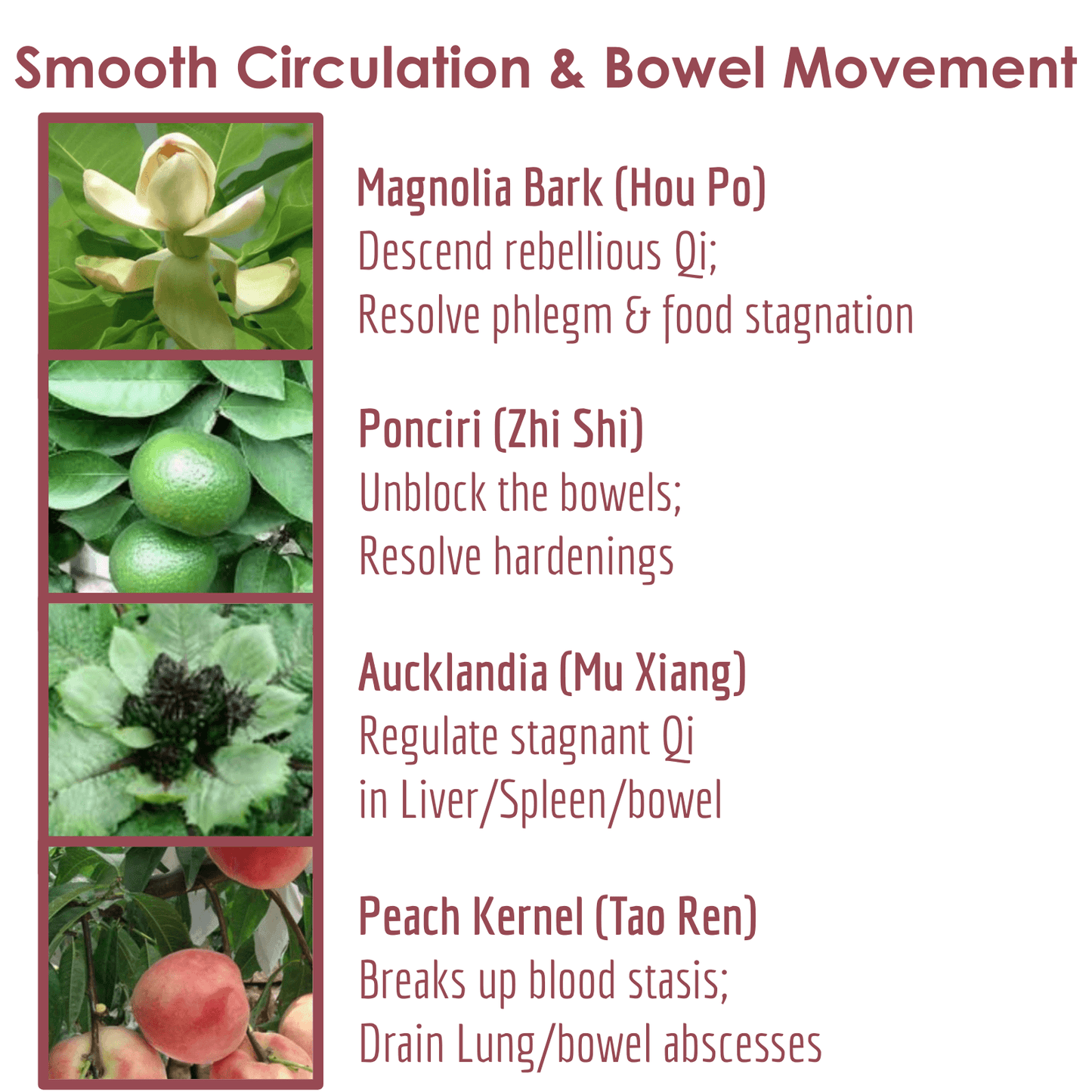 SMOOTHING Herbal Supplement | Smooth Circulation; Promote Sleep