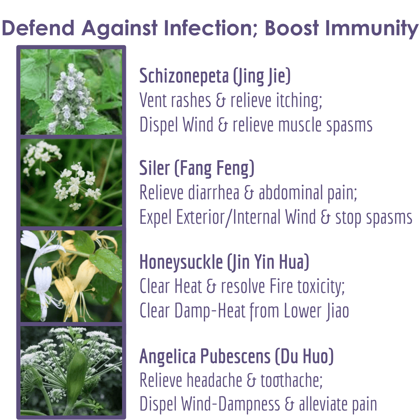 DEFENDING Herbal Supplement | Defend Against Infection; Boost Immunity; Cleanse Lungs; Stop Coughing, Running Nose