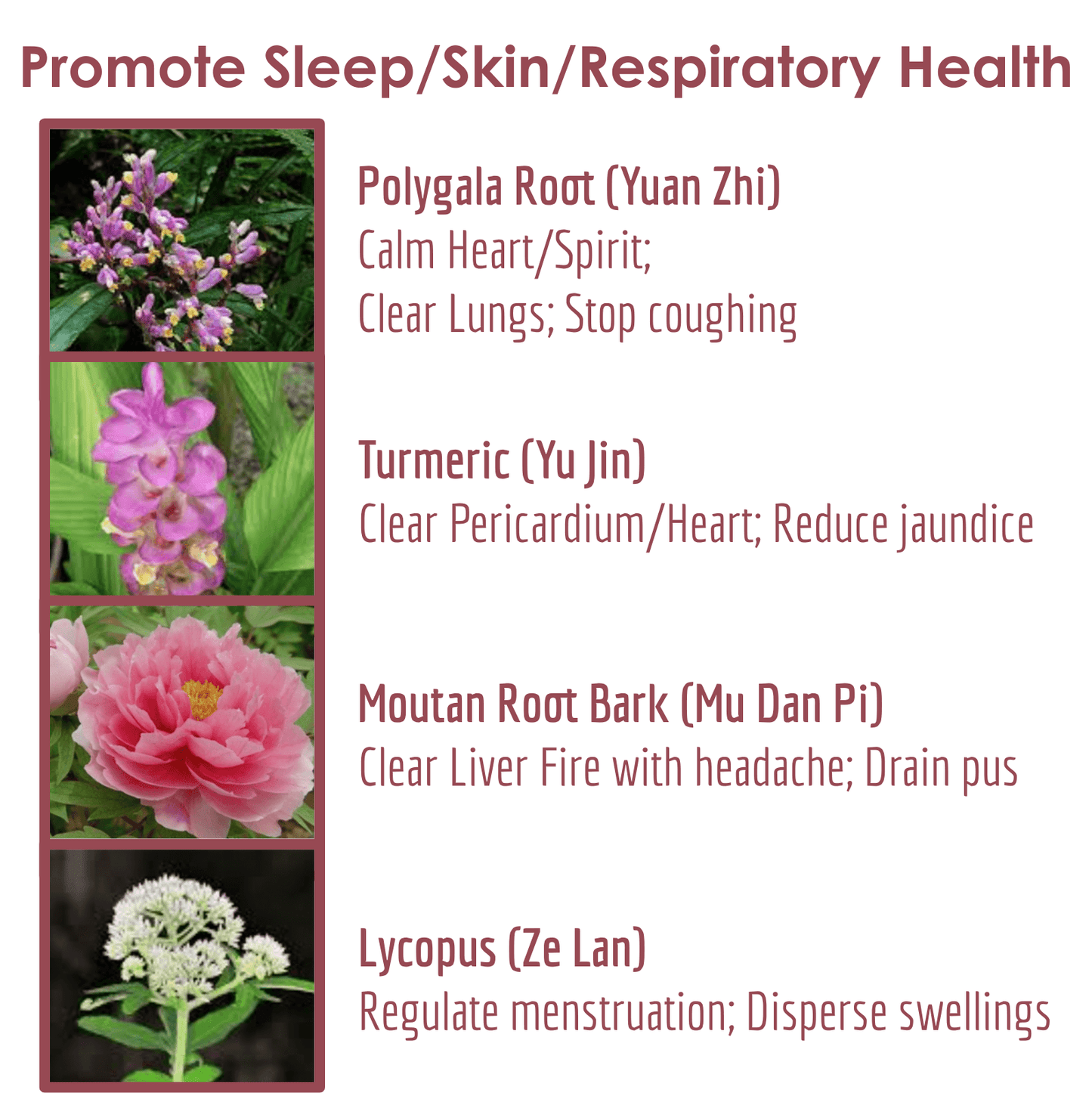 SMOOTHING Herbal Supplement | Smooth Circulation; Promote Sleep